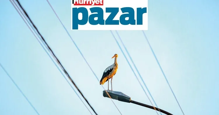 Leylekler özgürce uçabilsin, ölmesin
