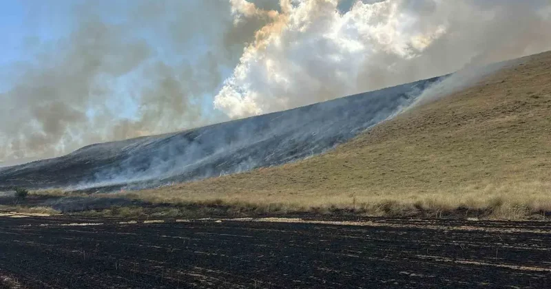 Bitlis’te örtü yangını: 400 dönüm alan küle döndü
