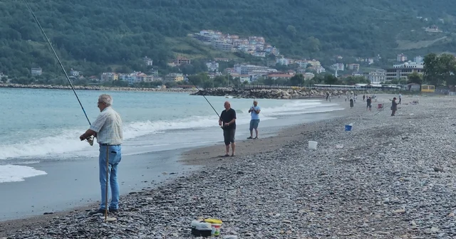 Karadeniz de balık bolluğu yaşanıyor: Oltasını kapan deniz kenarına koştu Kastamonu Haberleri Habertürk Yerel Haberler
