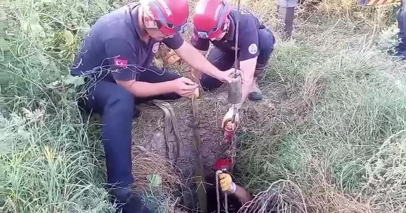 Kuyudan Kurtarılan İnek, Sahibinin Gözyaşlarına Neden Oldu
