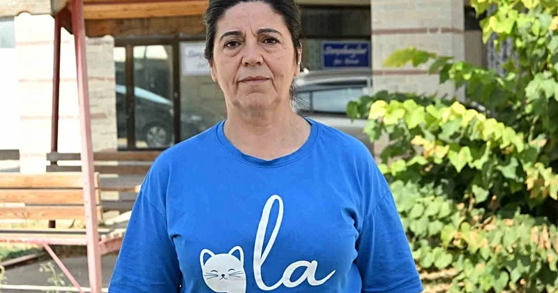 Kütahya da esnafın beslediği kedi, bacakları kesilmiş halde bulundu! Bölgede 3. vaka