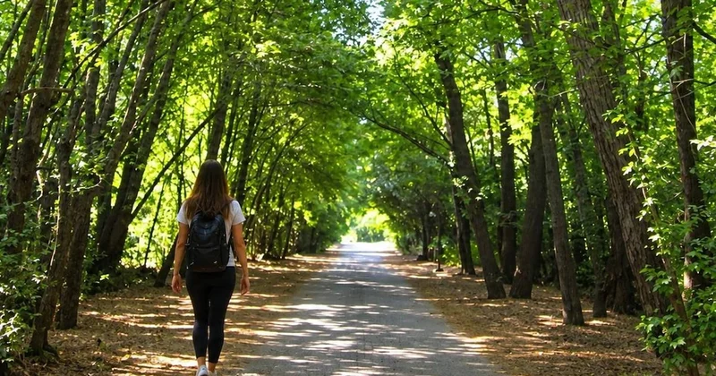 Parkta gezerken yerdeki parıltıyı fark etti: Bir anda zengin oldu Sözcü Gazetesi