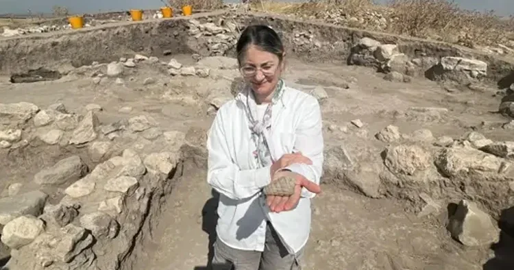 Ankara da 66 milyon yıllık keşif... Kazı Başkanı Tekin nasıl bulunduğunu anlattı