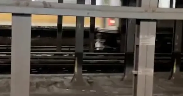 New york metrosunda dehşet anları: Arkadaşını kurtarmak isterken can verdi