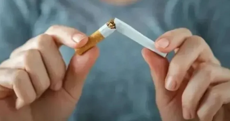 Yaprak sigara kağıdına yeni düzenleme: Sigara kağıdında tatlandırıcı kullanımı yasaklandı