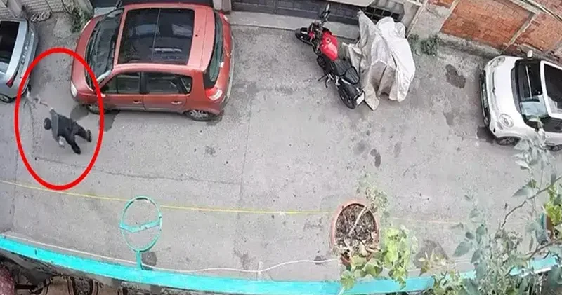 Bursa da kucağındaki kediye şiddet uygulayan şüpheli yakalandı