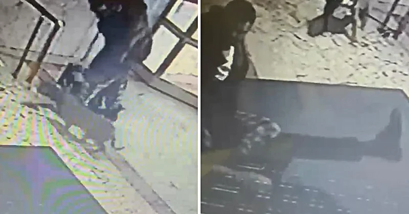 Pitbull korkusu site sakinlerini bezdirdi! Ailelerin yardım istediği kaymakama saldırı kamerada
