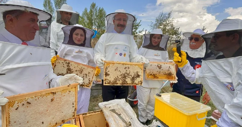 Aylarca beklediler: Sezonun son hasadı yapıldı Sözcü Gazetesi