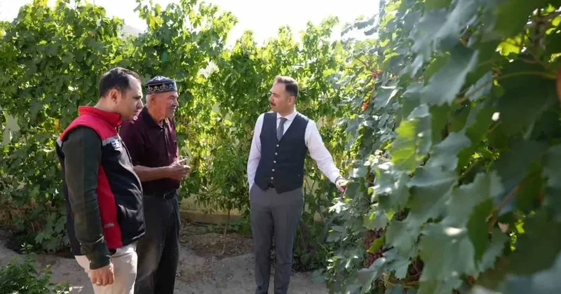 Üzümlü Kaymakamı Hökelekli, üzüm bahçesi ve tarımsal erken uyarı sistemini inceledi