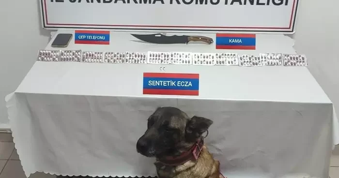 Üzerinde 170 adet uyuşturucu hapla yakalandı