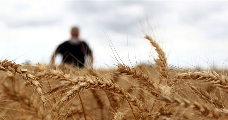 TZOB: FAO verilerine göre yaklaşık 733 milyon insan açlıkla mücadele ediyor İş Yaşam Haberleri