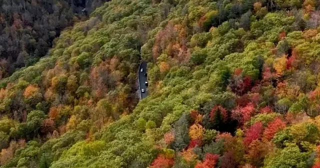 Catskills’te renk cümbüşü: New York sonbahara büründü VİDEO İZLE