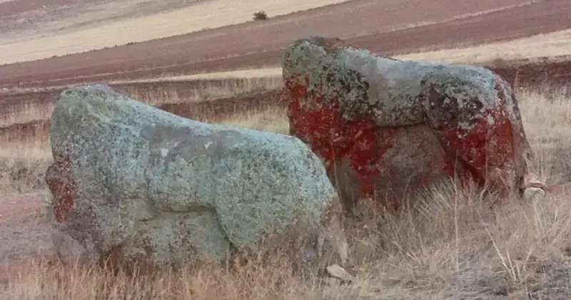 4 bin yıllık 2 Aslantaş için taşınma kararı