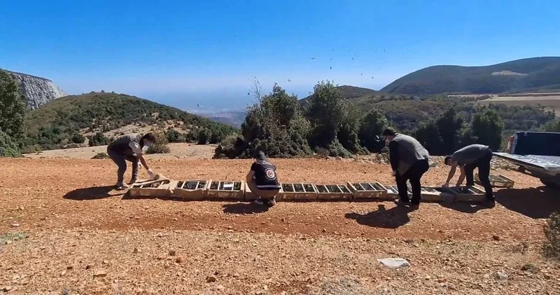 Kuş kaçakçısı hayatının şokunu yaşadı: Tarihi ceza