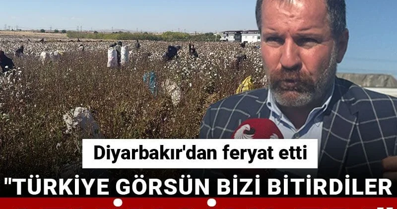 Diyarbakır dan feryat etti: Türkiye görsün bizi bitirdiler: Sevinsinler!