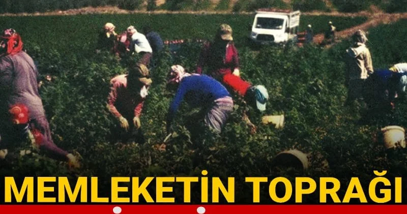 Memleketin toprağı sahipsiz kaldı! Tarımda en büyük risk ortaya çıktı