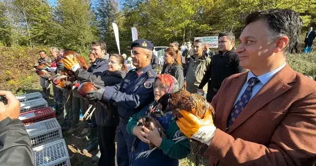 İstilacı kokarca böceklerine karşı sülün ordusu Bartın Haberleri