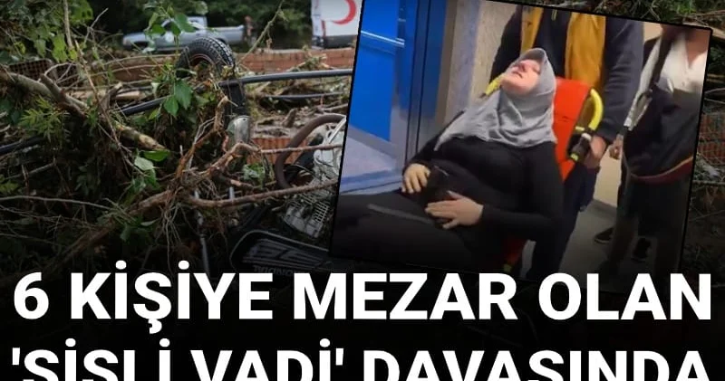 Mahkeme başkanının suçlanan isimle fotoğrafları çıkmıştı! Sisli Vadi davasında acılı anne tutuklandı