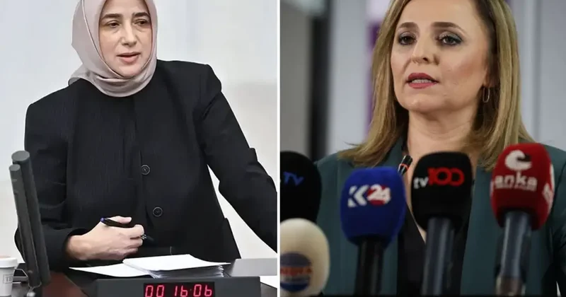 Öcalan a umut hakkı polemiği! Özlem Zengin Talep olmadı dedi, DEM den anında yanıt geldi
