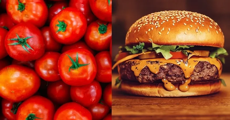 17 yaşındaki bilim insanı, hamburger tadında domates tasarlıyor
