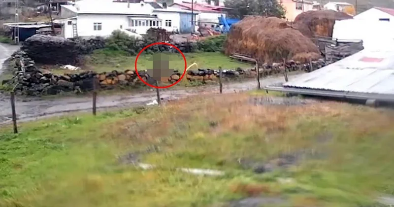 Türkiye nin diğer ucundan güpegündüz dehşete düşüren görüntü