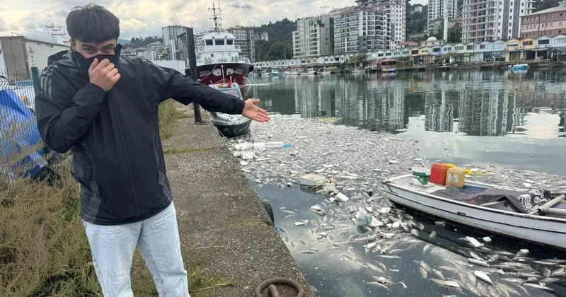 Ucuz palamut tartışmaları sürerken gelen görüntü isyan ettirdi