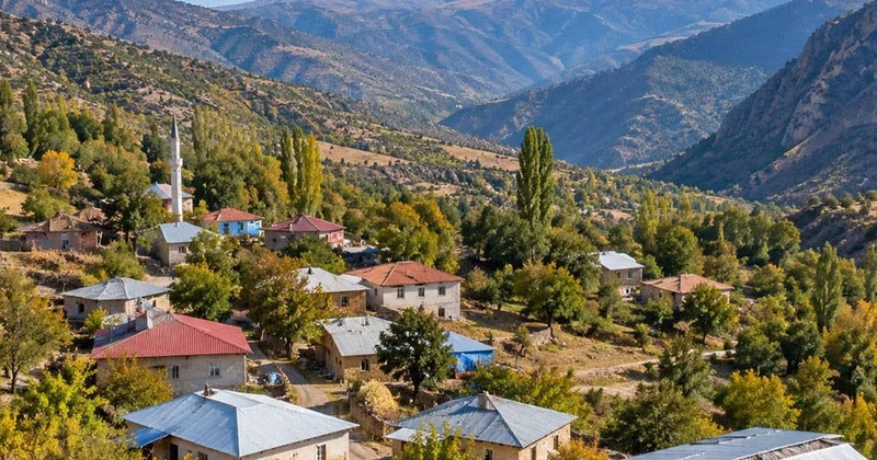 Resmi Gazete de yayımlandı! Bingöl deki Hasbağlar köyü, Kiğı ilçesine bağlandı