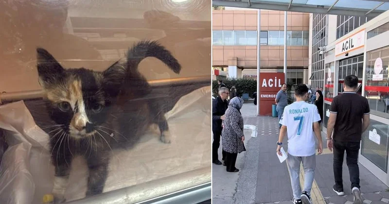 5 bin kişi hastanelik eden Tokat taki salgın büyüyor! Korkutan kedi köpek detayı