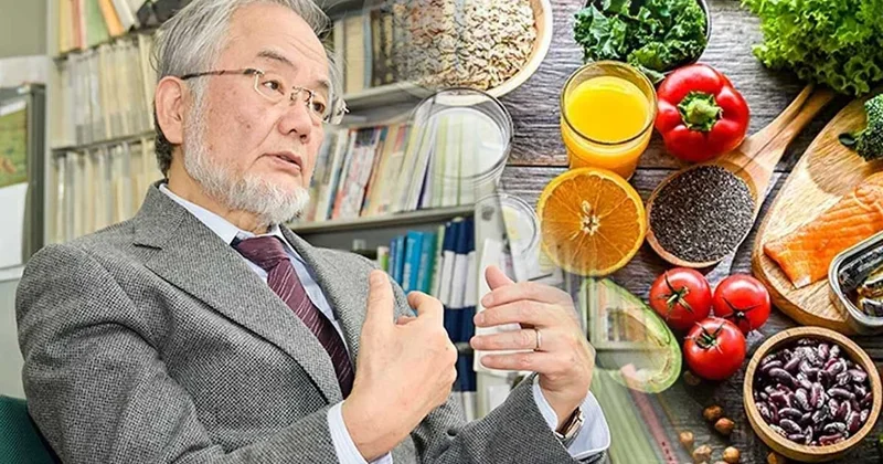 Nobel ödülü kazandıran keşif, yaşlanmayı 3 günde tersine çeviriyor Sözcü Gazetesi