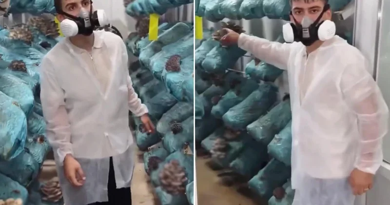 Avukatlığı bırakıp bu işe başladı! 30 bin lira yerine 250 bin lira kazanıyor