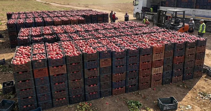 10 liraya alıp 90 liraya satıyorlar: Üretici perişan Sözcü Gazetesi