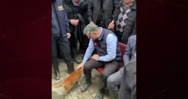 İçişleri Bakanı Mustafa Çiftçi’den sel bölgesinde yürek ısıtan kare: Her can bize emanet