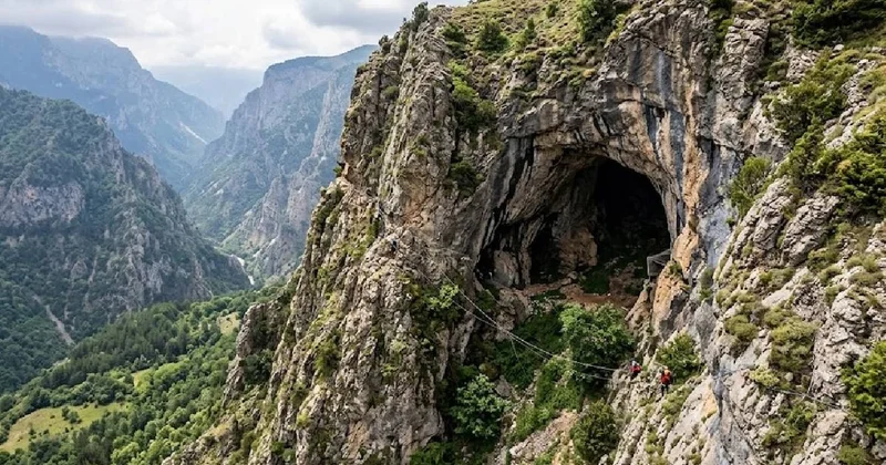 Türkiye de mağaralardan toplanıyor: Kilosu 264 bin liradan satılıyor Sözcü Gazetesi