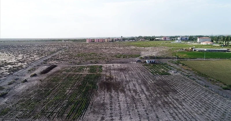 FAO’dan Türkiye’de arazi tahribatını önlemeye 8,15 milyon dolarlık destek Sözcü Gazetesi