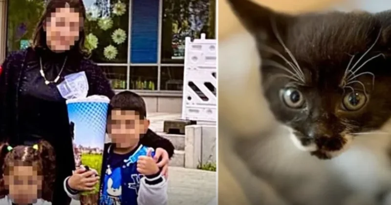 Zehirlenen böcek ailesinden geriye sadece o kalmıştı, o da isimsiz kaldı Sözcü Gazetesi