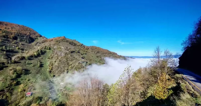 Düzce güne sisle uyandı