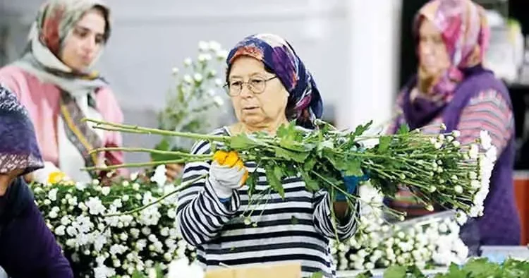Çiçek ihracatında rekor bekleniyor