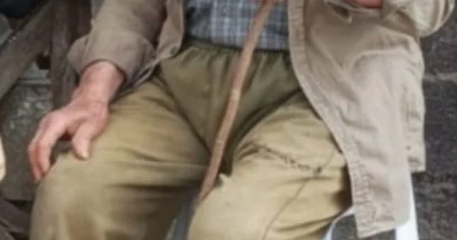 Mantar toplamaya giden yaşlı adamdan haber alınamıyor Bolu Haberleri