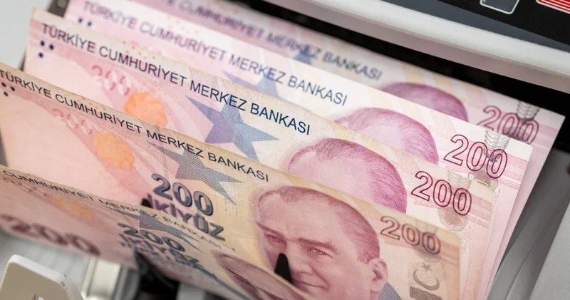 Kasım ayı temettü dönemi sürüyor: Bu ay kâr payı verecek şirketler, dağıtım takvimi ve temettü tutarları