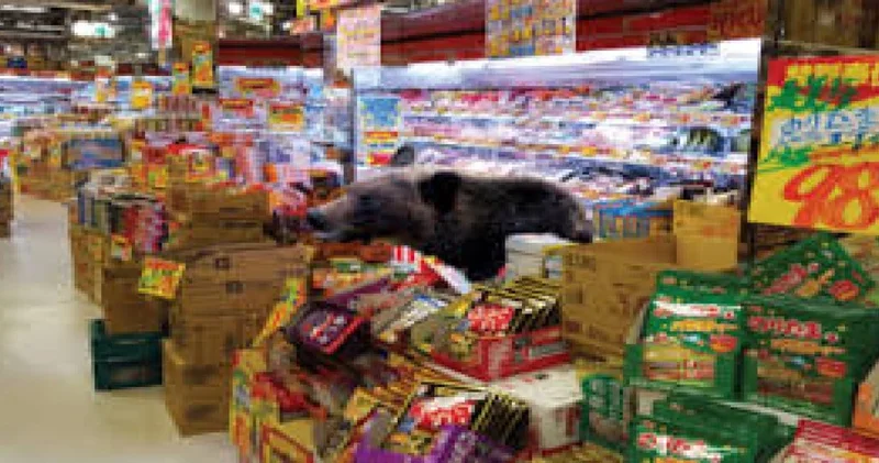 Alışveriş merkezine ayı girdi