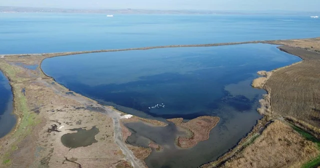 Doç. Dr. Daban: Çardak Lagünü nün koruma statüsü artırılmalı Çanakkale Haberleri