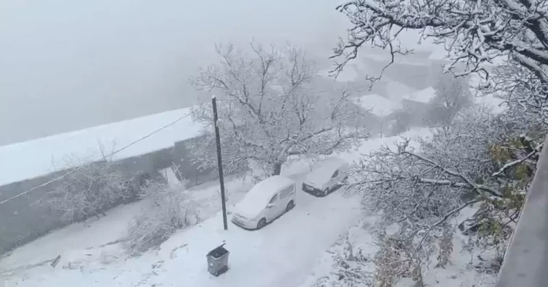 Van’ın Bahçesaray ilçesinde kar etkili oldu