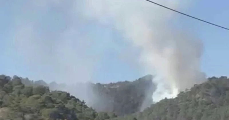 Muğla da orman yangını: Ekipler müdahale ediyor