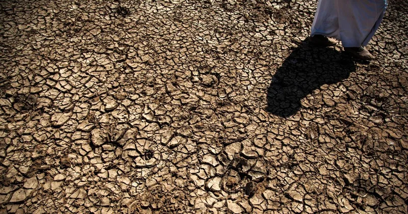 FAO dan Türkiye deki erozyon ve kuraklık tehlikesine 8,1 milyon dolarlık estek