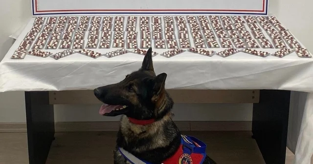 Uyuşturucuyla yakalanan şahıs utuklandı Kastamonu Haberleri