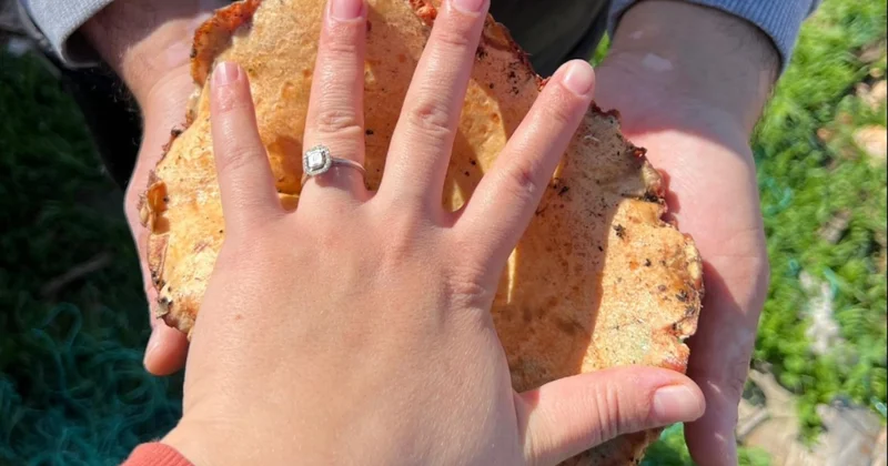 Yağmuru görenler evden fırladı: Kilosu 400 liradan kapış kapış satılıyor Sözcü Gazetesi