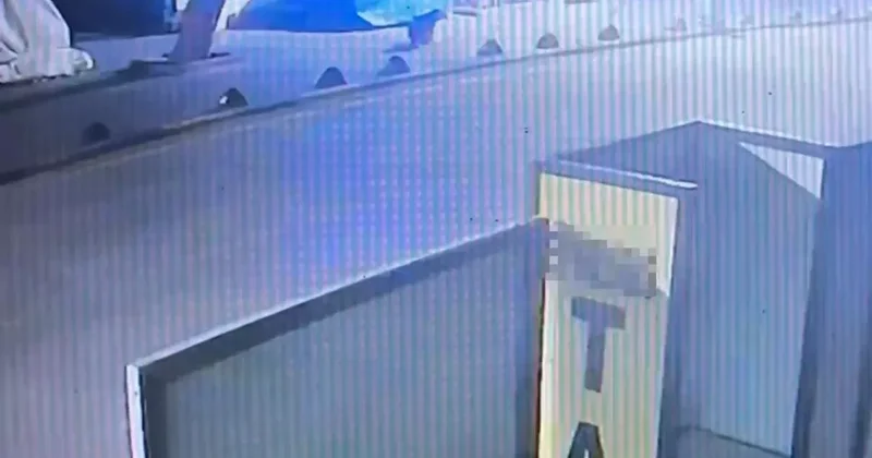 Kuşadası nda Emekli Astsubay Sokak Köpeğini Vurdu