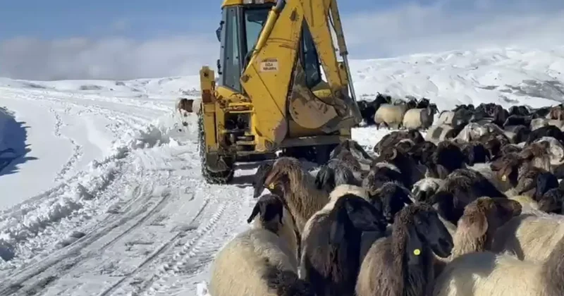 Muş’ta yoğun kar yağışı