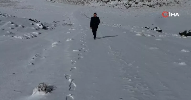 Aydınlar da kar yağışı