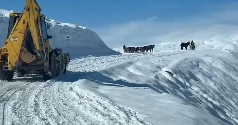 Son dakika: Şiddetli kar yağışı birçok ilde ulaşıma engel oldu Son dakika haberleri